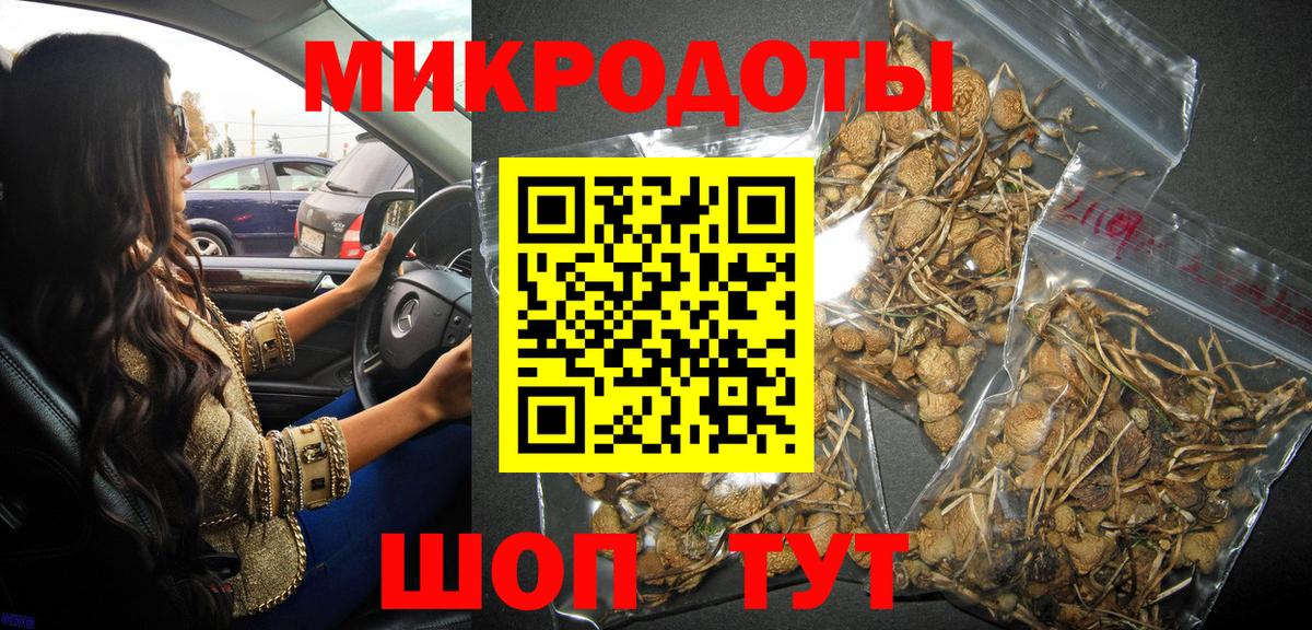 Псилоцибиновые грибы Psilocybe Арзамас