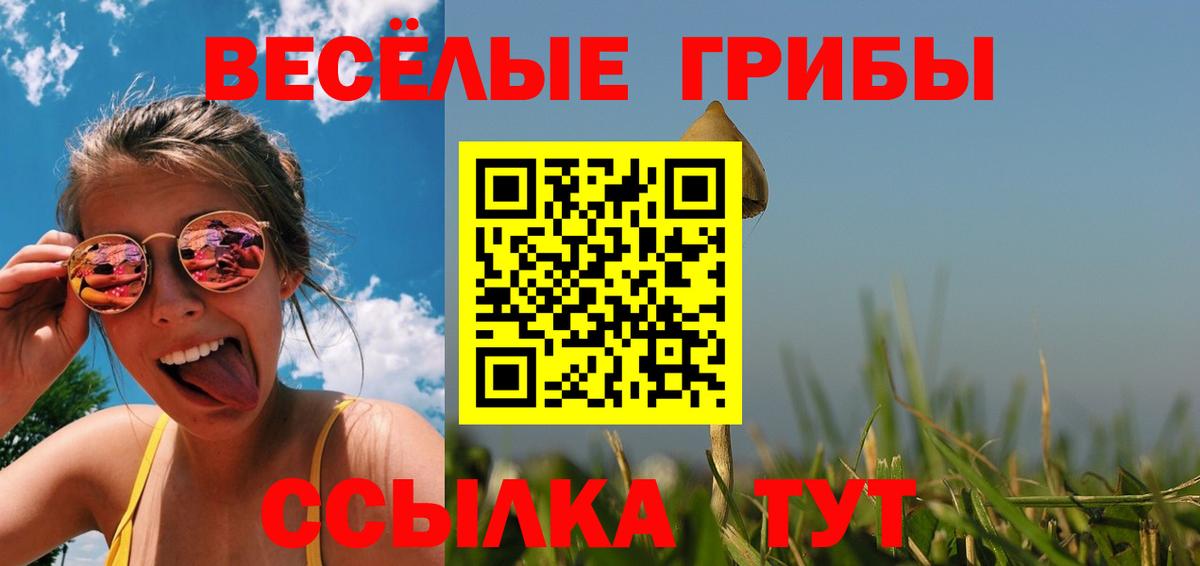 Галлюциногенные грибы Magic Shrooms  Вход с VPN  Арзамас 